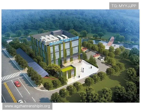 提升K8真人娱乐游戏胜率的实用技巧与策略,助你成为游戏高手 提升K8真人娱乐游戏胜率的实用技巧与策略,助你成为游戏高手