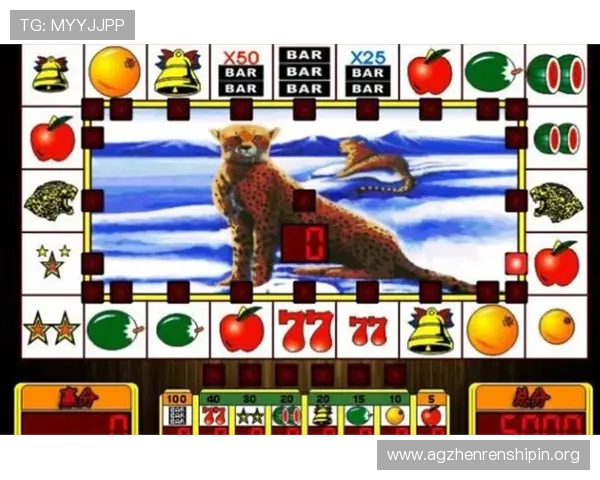 水果老虎机百家乐官网正规平台，保障玩家资金安全与公平公正的游戏环境