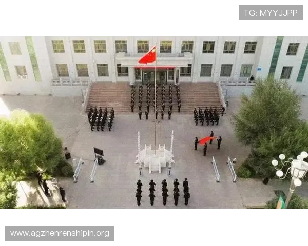 深入分析百家技巧切入点打法技巧提升游戏战斗力实现高效胜利的关键方法