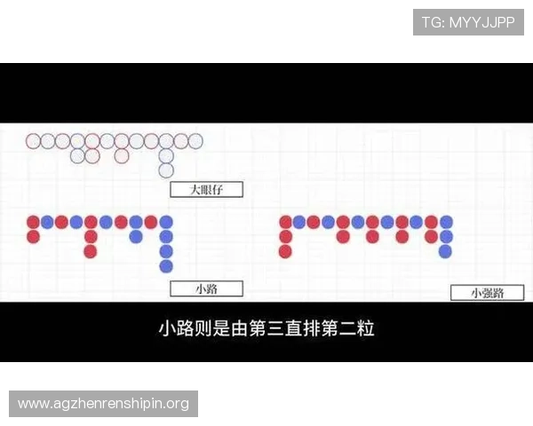 百家乐小路图的详细分析与实用技巧，帮助玩家提升游戏胜率的全面指南