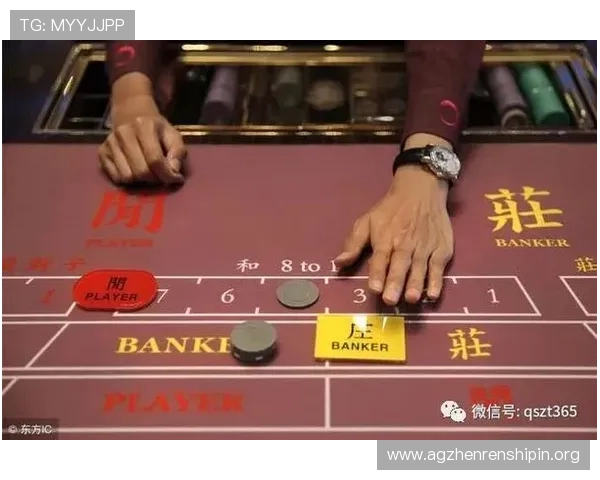 百家乐投注法新手入门指南帮助你快速掌握基本技巧