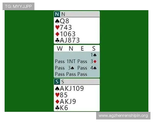 经典百家乐庄家规则全面解析帮助新手快速入门与提升技巧