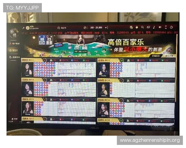 掌握网络百家乐公式打法的关键技巧帮助玩家稳步盈利指南